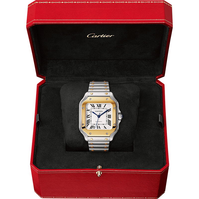 Santos de Cartier Watch W2SA0016 - dial closeup