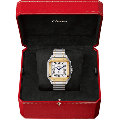 Santos de Cartier Watch W2SA0016 - dial closeup